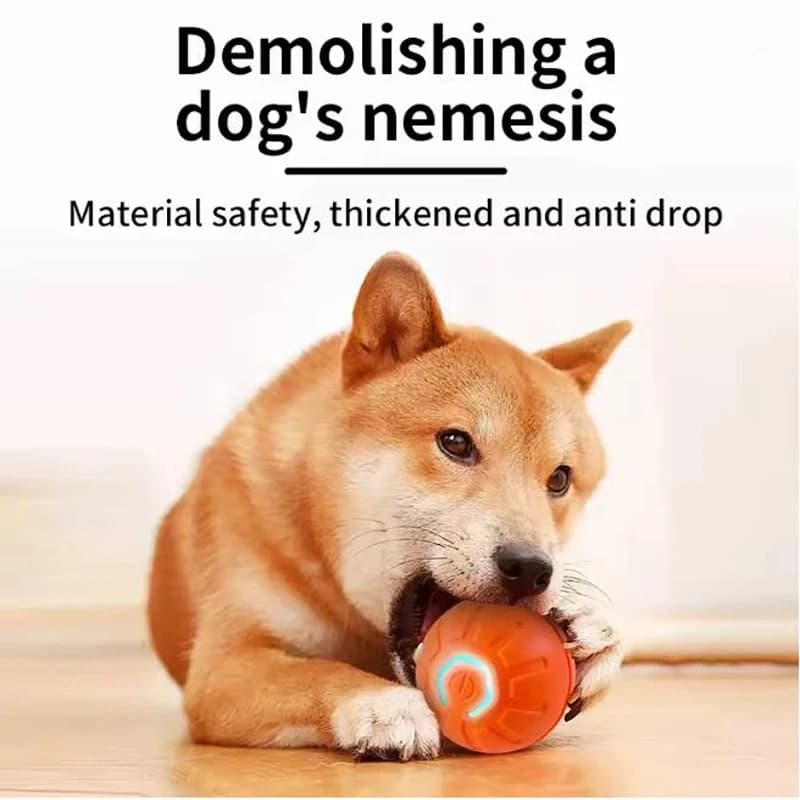 Pelota Interactiva Automática para Mascotas — Carga USB