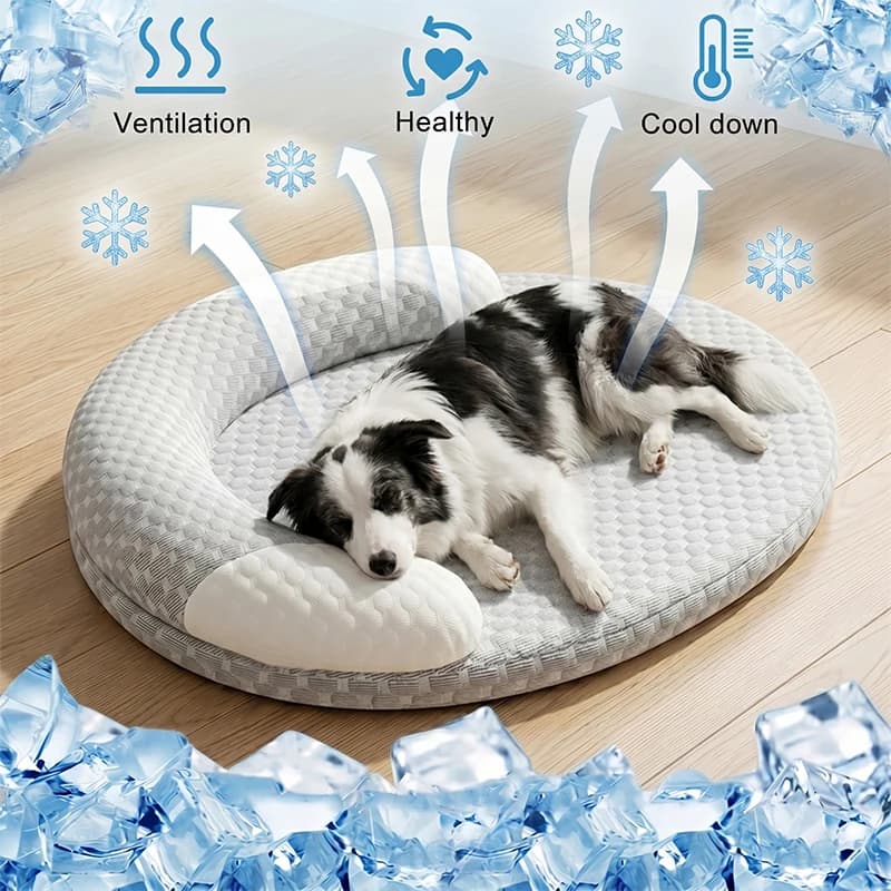 Cama Refrescante de Seda Helada para Mascotas — Diseño Oval